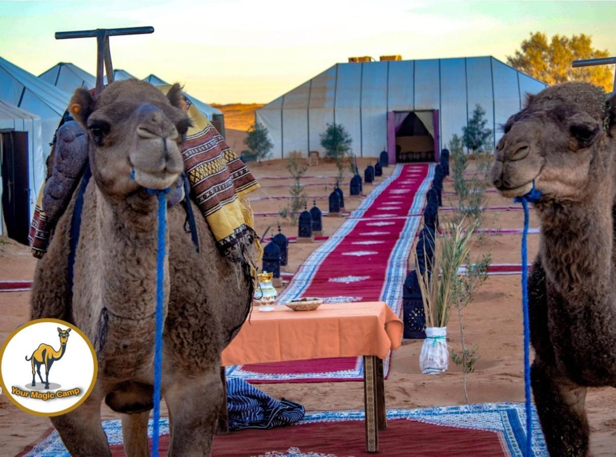 Your Magic Camp مرزوكة المظهر الخارجي الصورة